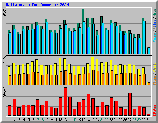 Daily usage for December 2024