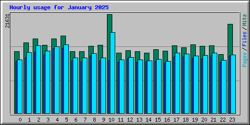 Hourly usage for January 2025