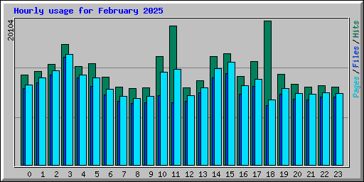 Hourly usage for February 2025