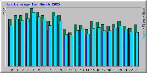 Hourly usage for March 2025