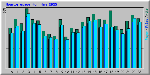 Hourly usage for May 2025