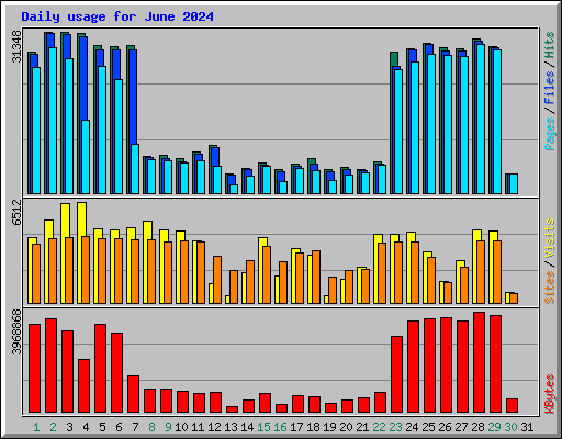 Daily usage for June 2024