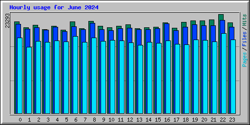 Hourly usage for June 2024