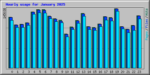 Hourly usage for January 2025