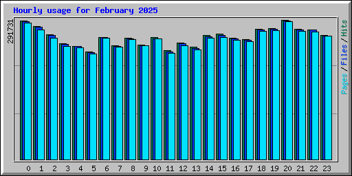 Hourly usage for February 2025