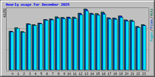 Hourly usage for December 2025
