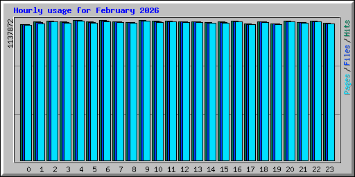 Hourly usage for February 2026